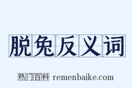 脱兔反义词是什么意思的图片